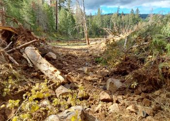 A channel created from the removal of a culvert with natural rocks and wood.