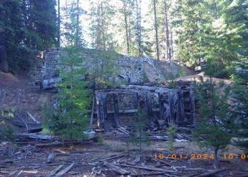 A broken down structure in a forest. 
