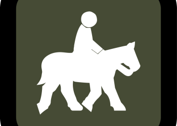 A cartoon of a person on a horse.