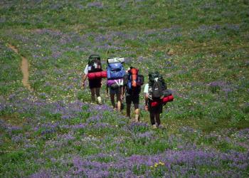 Backpackers hike up a hill