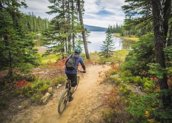 A person on a mountain bike in the forest
