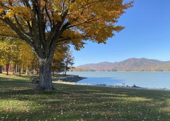 lake with fall colors