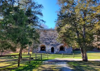 Two mature trees cast long shadows across the green lawn leading to a tall stone building with an arched door and two wider arched entrances.