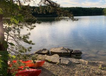 Two red kayaks are banked on the rocky shore of Laurel River Lake. The rocky lake bottom is visible through the clear water.