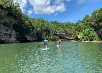 Two stand up paddle boarders cross a calm section of Laurel River Lake.