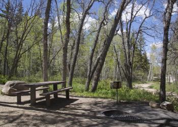 single picnic table in campsite