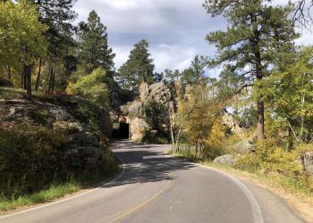 road stretches along scenic view of forest