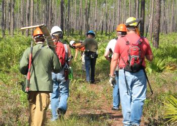 group of volunteers walking with tools to towards the forest