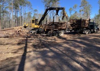 logs being loaded on log truck 