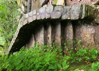 Stone stairs with a stone wall  in a forest