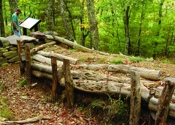 Man reading interpretive sign at Confederate Breastworks site