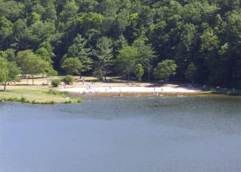 A lake showing a beach in the background with swimmers reclining amongst a backdrop of trees and grass. 