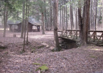 Landscape with leaves dotting the landscape, a wooden bridge and log type cabin in the background. 