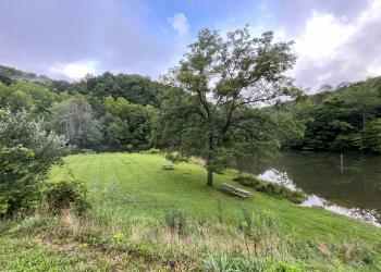 A grassy field in a forested mountain setting beside a wide creek. 