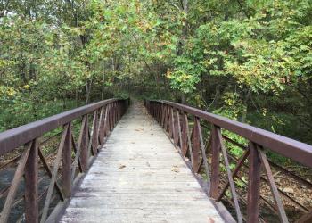 Footbridge walking over creek with lush green trees on the path