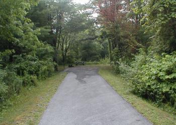 Driveway leading up to a campsite with picnic table and parking space