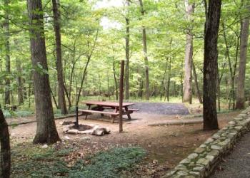 Picnic table amongst hardwood trees with a walkway in the foreground