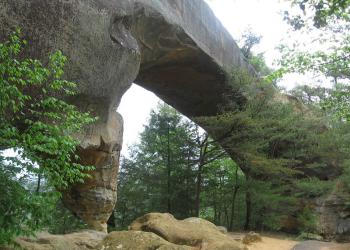 stone arch in the forest