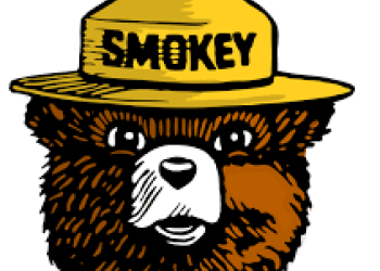 graphic of a bear with a hat