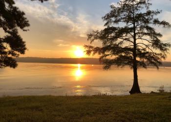 sun rising over Corney Lake with cypress trees