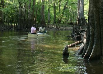 Two people in a canoe floating down a bayou