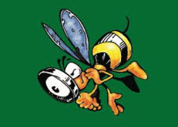 cartoon bug with a magnifying glass