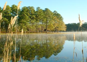 Bienville National Forest Marathon Lake