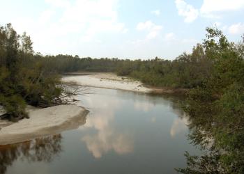 Chickasawhay River on the Chickasawhay Ranger District