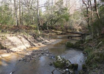 Densons Creek Trail