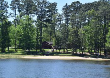 swim beach