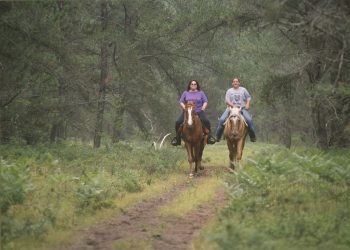 Two women riding horses.