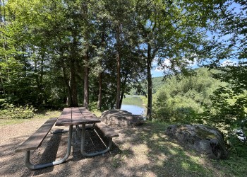 a photo of a picnic table in the shade next to a lake