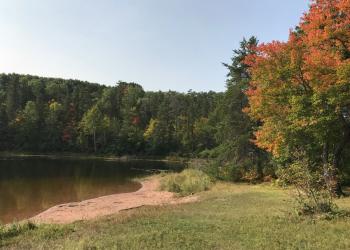 The sandy shore of a lake. It connects to green grass and then dense forest.