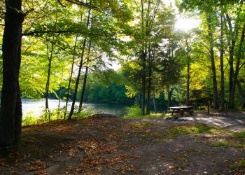 A picnic table by a lake.