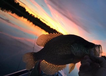 A person holding a fishing with a sunset in the background.