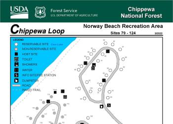 A map showing the campground sites in the Chippewa Loop campground. 