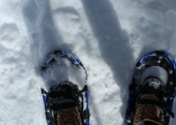 snowshoes gmfl