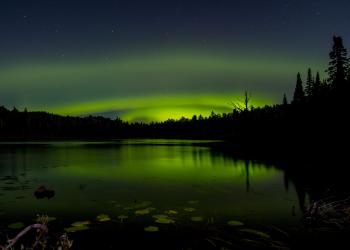 The northern lights over a lake.