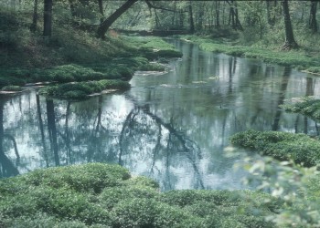 Pond at Boze Mill
