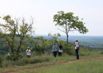 A group of people standing and looking out over a glade along the Glade Top National Forest Scenic Byway