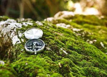 compass sitting on moss