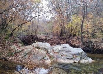 The creek flowing next to a rock