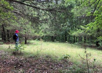 A hiker in a red hat