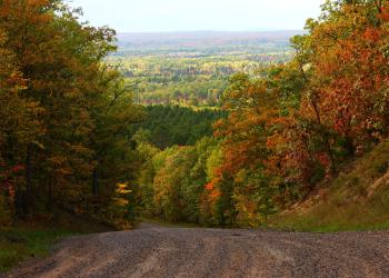 A curving dirt road overlooking the forest in fall.