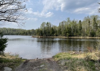 a photo of a lake with trees on the horizon