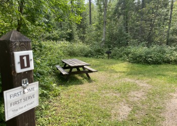 Campsite at Lake Jeanette