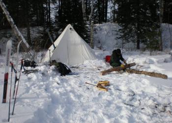 a white tent in the snow surrounded by pine trees