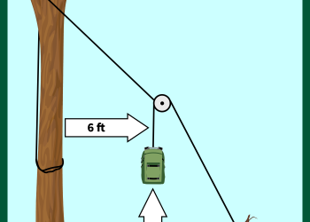 graphic showing how to hang food using a single tree.