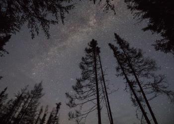 Stars in the sky