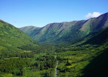 Aerial view of Palmer Creek Road going north. Summertime, clear blue sky.